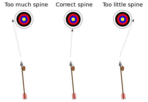 What Is The Arrow Spine My Archery Corner