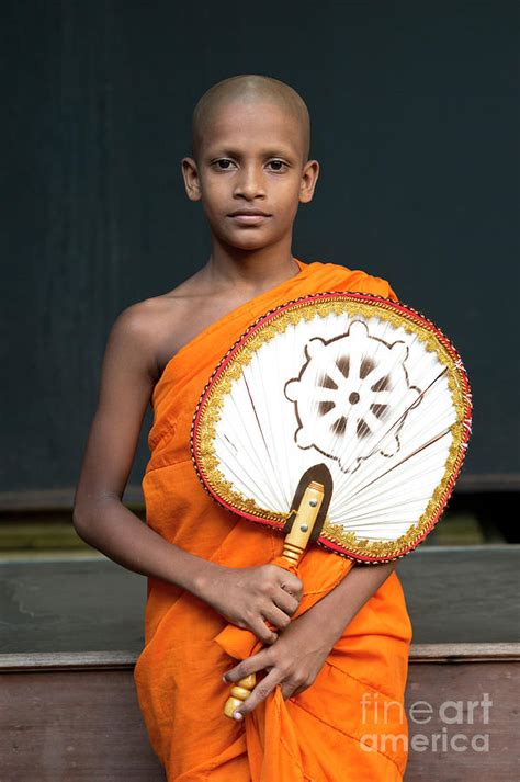 Young Buddhist Monk Photograph By Tony Camacho Fine Art America