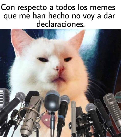 Top 24 Memes Divertidos Gatos Memes Divertidos Memes De Tios Meme Gato