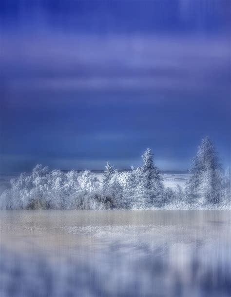 Cold Winter Day Photograph By Ellen Heaverlo Fine Art America