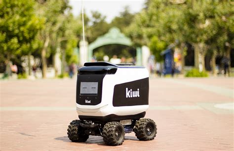 Stridio Nove Kiwi Campus Robotica Chiacchierare Creativo Fatturabile
