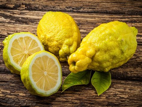 What Is A Bush Lemon How To Grow A Bush Lemon Plant