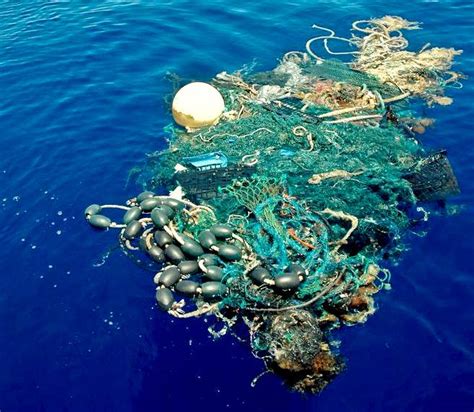 The Great North Pacific Garbage Patch Gyre