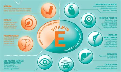 Vitamin E Deficiency Symptoms And Effects Increases Risk Of