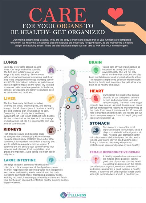Care For Your Organs To Be Healthy Get Organized The Wellness Corner