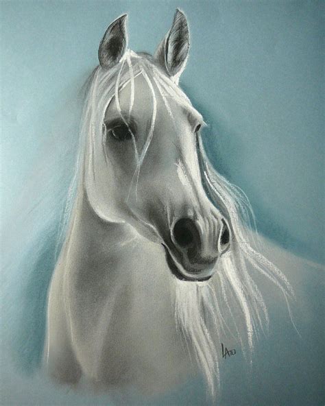 White Horse 2 Horses Horse Drawings Horse Painting