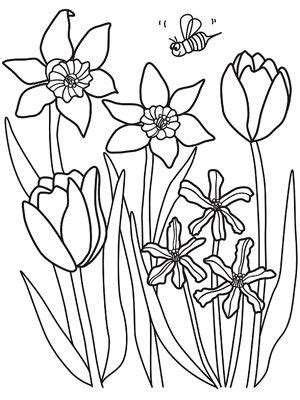 We did not find results for: Printable Spring Coloring Pages | Malvorlagen frühling ...