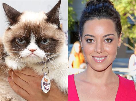 Aubrey Plaza To Voice Grumpy Cat In Lifetime Christmas Movie E News