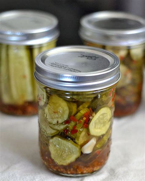Hot spicy pickled eggs recipes. Ball Blue Book Guide to Preserving Recipes - Flour On My Face