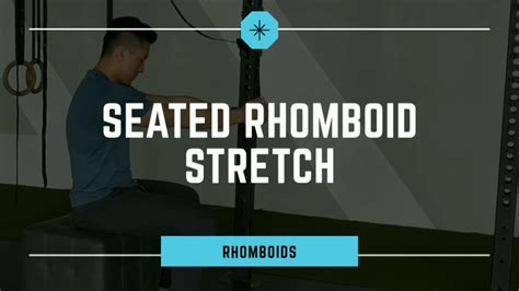 Seated Rhomboid Stretch Cervical Spine Thoracic Spine Shoulder