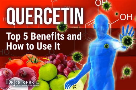 quercetin top 5 benefits and how to use it