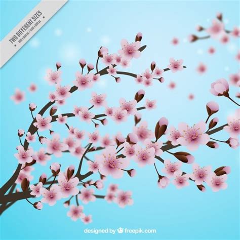 Download Blue Background With Cherry Blossoms In Realistic Style For