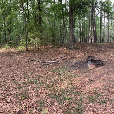 There is nothing quite like canoeing in the blackwater at george l. George L Smith State Park, GA | The Dyrt