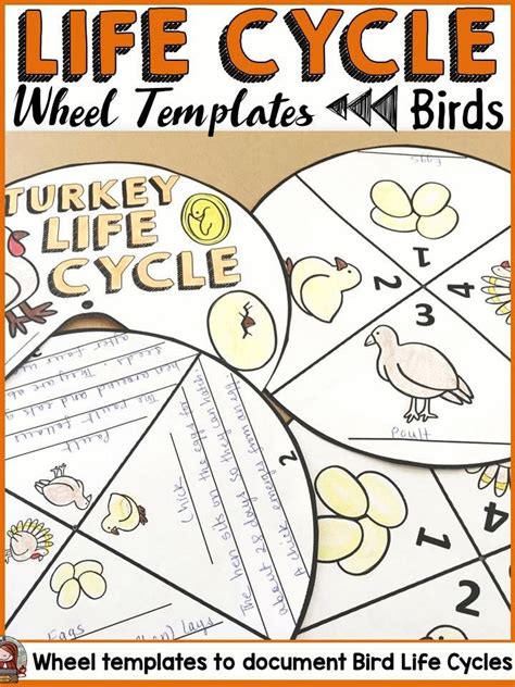 Use This Fun Hands On Spinner Wheels Pack To Document The Life Cycles