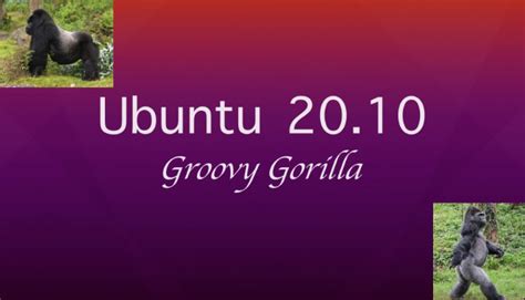 A Ottobre Arriverà Il Gorilla Ecco Ubuntu 2010 Gorilla Groovy