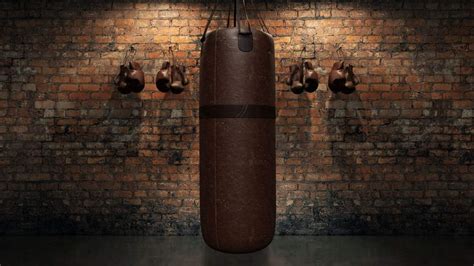 9 Best Punching Bags In 2023 Staying Alive