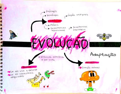 Mapa Mental Lamarck E Darwin