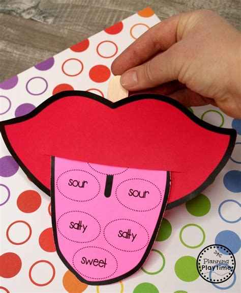 5 Senses Planning Playtime Five Senses Preschool Senses Preschool