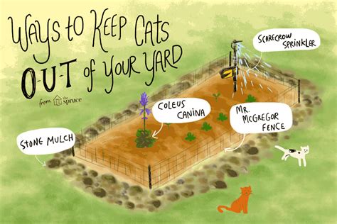 Best cat repellent plants if cats are a nuisance in your garden, consider buying some plants that are known cat repellents. Ways to Keep Cats Out of Your Yard or Garden