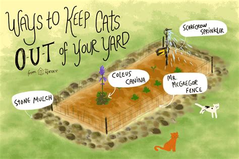 Before you decide between have a spray bottle of water handy, and give your cat a spritz when they get near your plants. Ways to Keep Cats Out of Your Yard or Garden