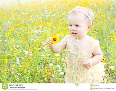 Baby Girl Walking In Flowers Royalty Free Stock