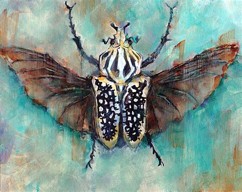 Goliath Beetle Insect Specimen Watercolor Art Print Garrott Designs