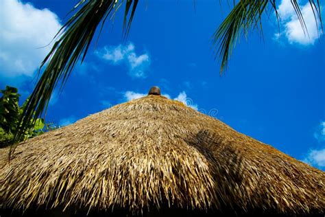 The Texture Of Thatched Roof At The Hut In The Countryside Stock Photo