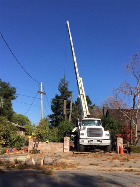 Silicon valley, san jose to redwood city. Crane Removals | Econo Tree Service, Inc.