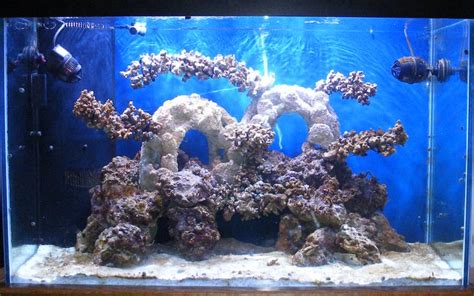 In a saltwater fish or reef tank you can set rock in piles or you can duplicate rockwork scenes found in the ocean. GARF-Scott Morell's - VHO reef aquarium update