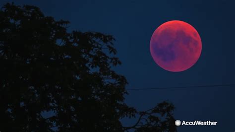 Catch The Total Lunar Eclipse Tonight Video