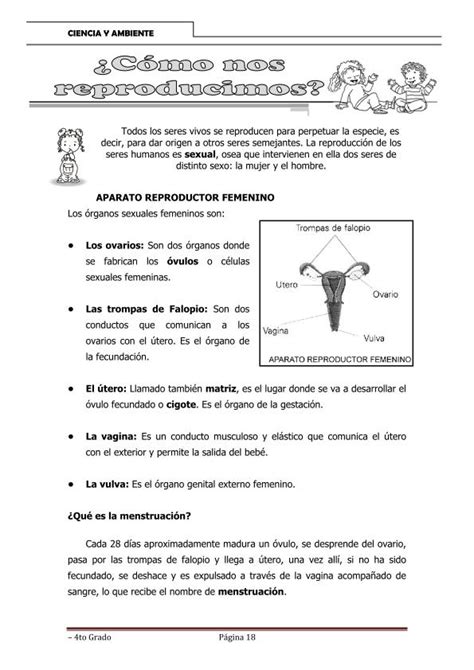 Como Nos Reproducimos Ciencia Y Ambiente 4to Primaria