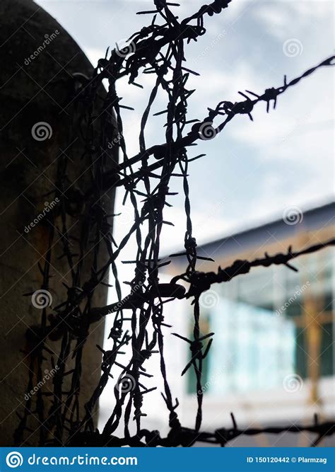 Barbed Wire,Protected House On Concrete In Asian Stock Photo - Image of ...