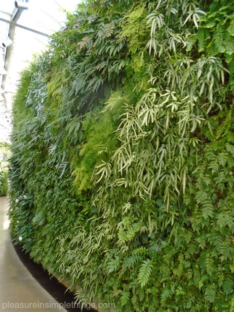 Longwood Gardens Green Wall — Pleasure In Simple Things