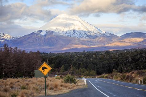 Must Dos On Any North Island Road Trip New Zealand North North