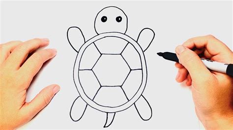 How To Draw A Tortoise Step By Step Easy Drawings Youtube In 2020