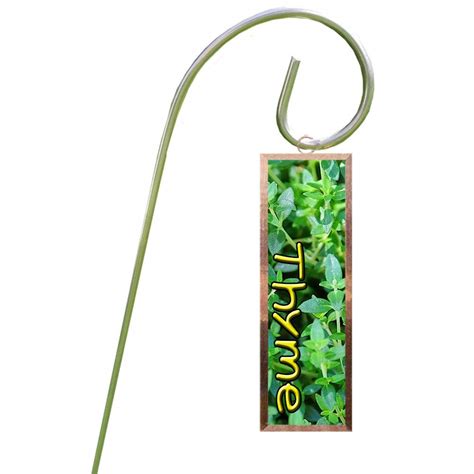 Copper Foiled Glass With Stainless Steel Shepherd Hook Thyme Garden