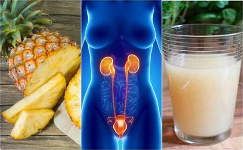6 Remedies For Urinary Tract Infections Step To Health