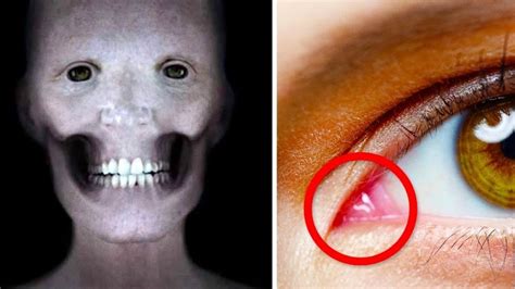 17 Jaw Dropping Facts You Didnt Know About The Body The World Hour