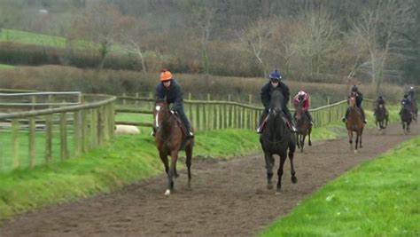 Lizzie Kelly The First Female Gold Cup Jockey For 33 Years Bbc News