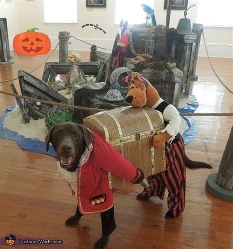 19 Costumes That Prove Labradors Always Win At Halloween