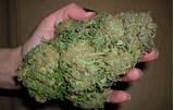 Pictures of What Can Medical Marijuana Be Prescribed For