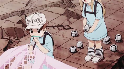 Loot Anime Platelets The Most Kawaii Cells At Work The Daily Crate