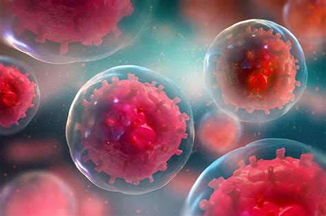 Stem cells can delay their death to help heal injuries • Earth.com