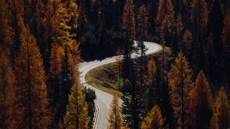 Wallpaper Trees Autumn Road Aerial View Forest Hd Picture Image