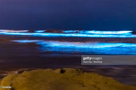 Bioluminescent Tide Glows Blue At The Beaches In San Diego County High