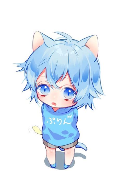 Blue Neko Boy Chibi Anime Anime