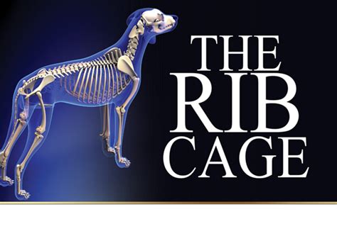 The Rib Cage Canine Chronicle