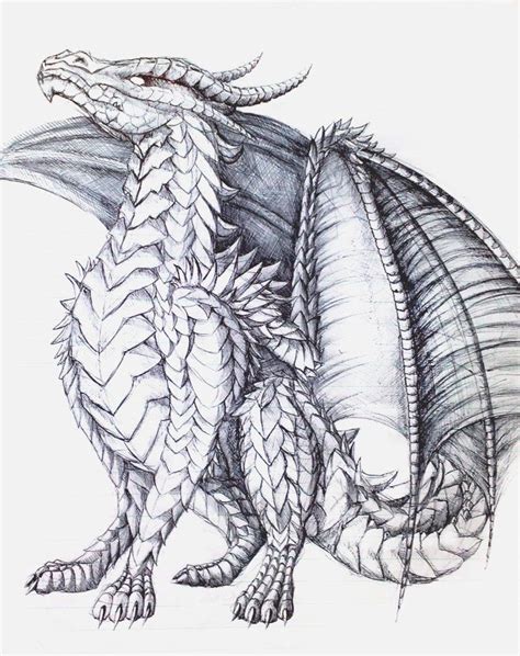 The Proud One Dragon Coloring Page Dragon Artwork Dragon Sketch