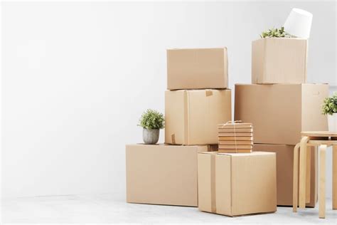 Green Moving 10 Tips For Eco Friendly Relocation On The Go Moving