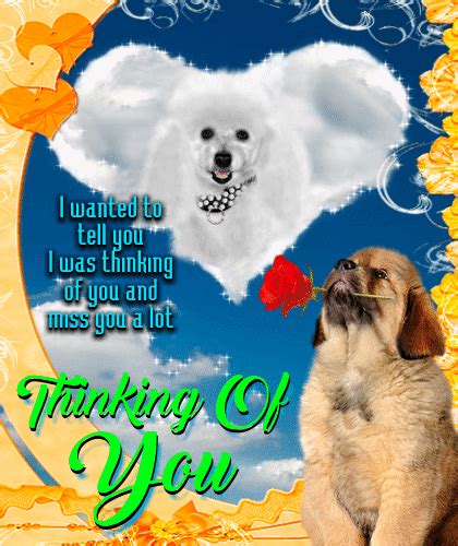 An Adorable Thinking Of You Card Free Thinking Of You Ecards 123